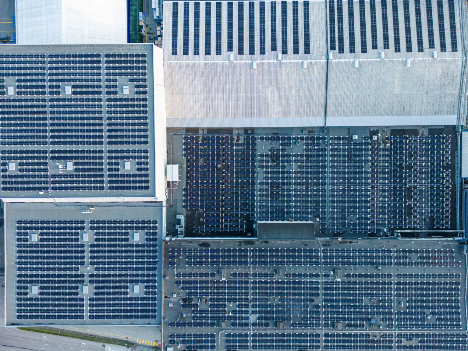 Eesti suurim tööstushoone katusele rajatud päikesejaam on valmis Päikesepark, Mihkel Notta