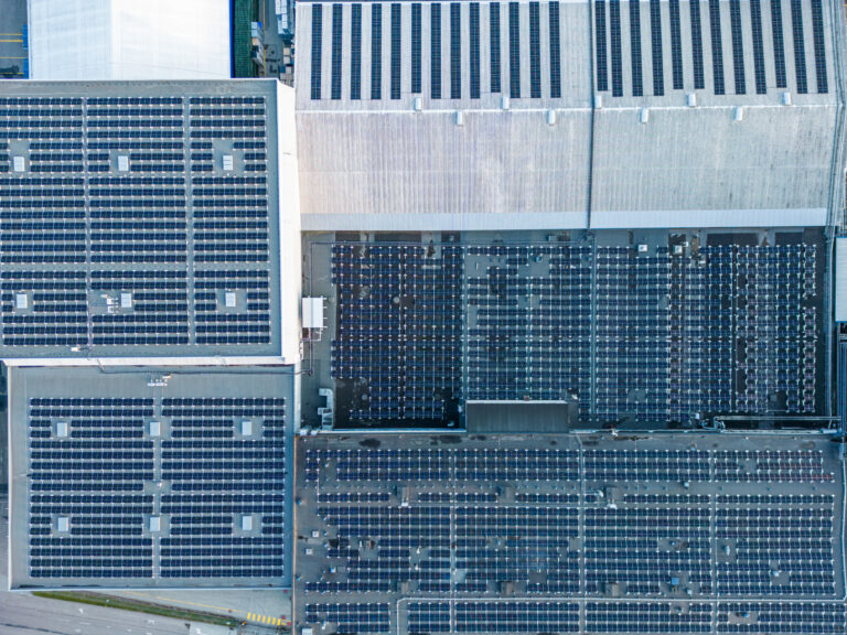 Eesti suurim tööstushoone katusele rajatud päikesejaam on valmis Päikesepark, Mihkel Notta