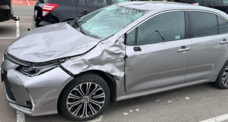 Suvi on kaasa toonud ohtralt otsasõite metsloomadele Põdraga kokkupõrke tagajärjed