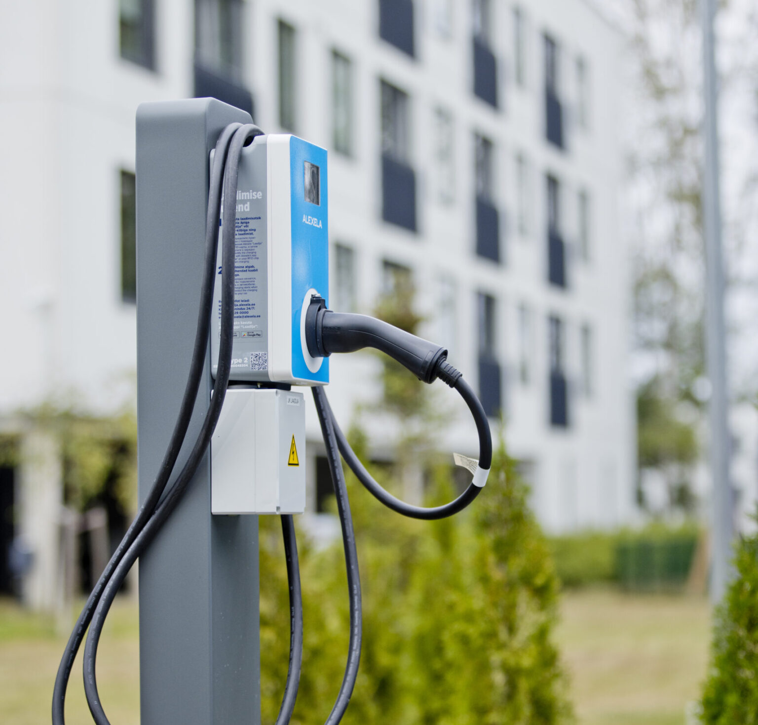 Laadija koduhoovil, Ardo Kaljuvee