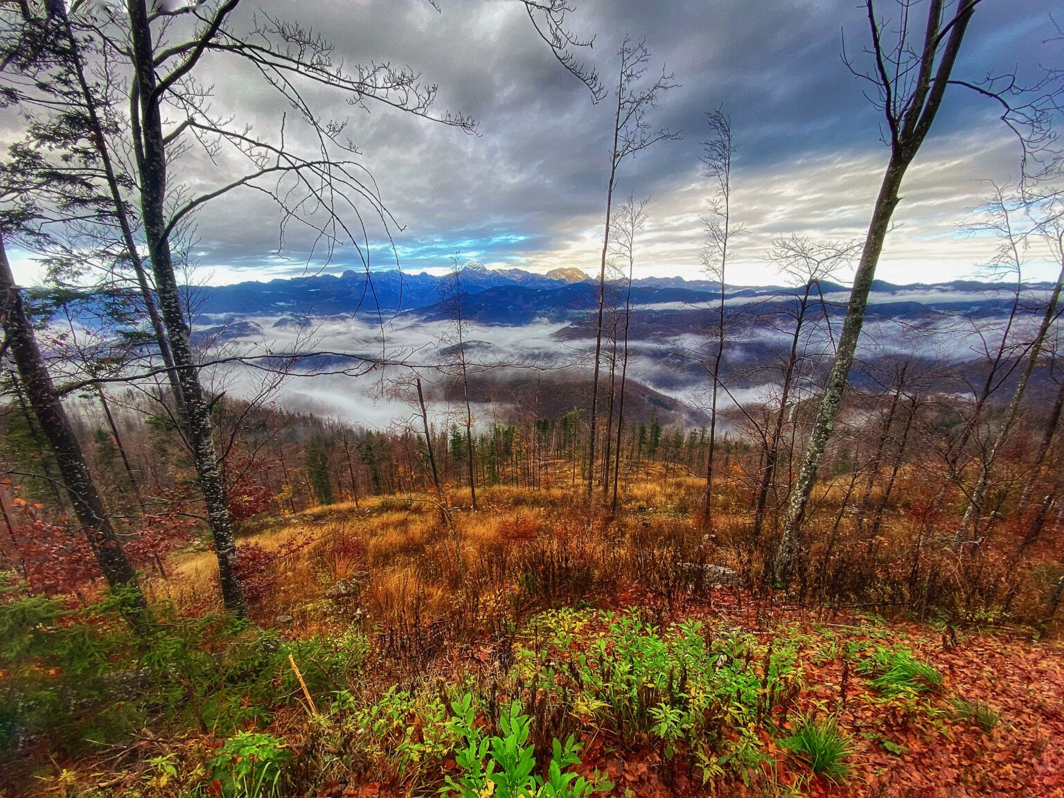 EiK soovitab: Sõidumuusika – aga mitte ainult – nädal 45 nadal 45