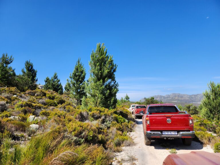 Volkswagen Amarok 2023