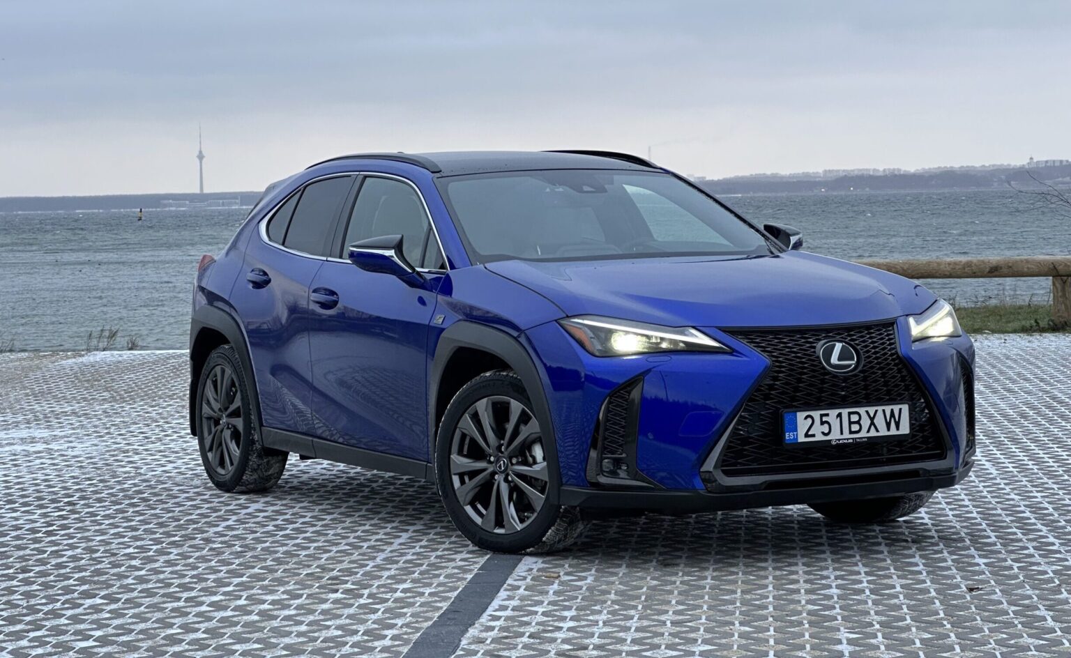 Lexus UX250h, Vladimir Niinimäki