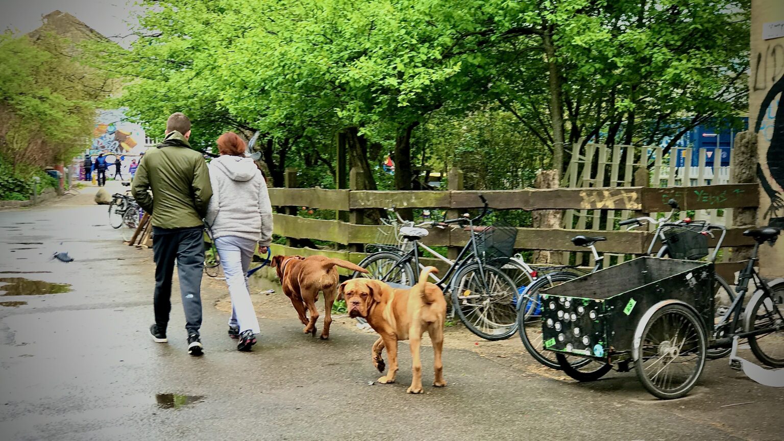 Tähelepanu, valmis olla, start! (toetusega) e-sõidukite soetamist alga nüüd! valmis olla start