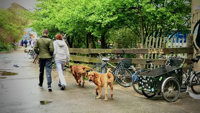 Tähelepanu, valmis olla, start! (toetusega) e-sõidukite soetamist alga nüüd! valmis olla start