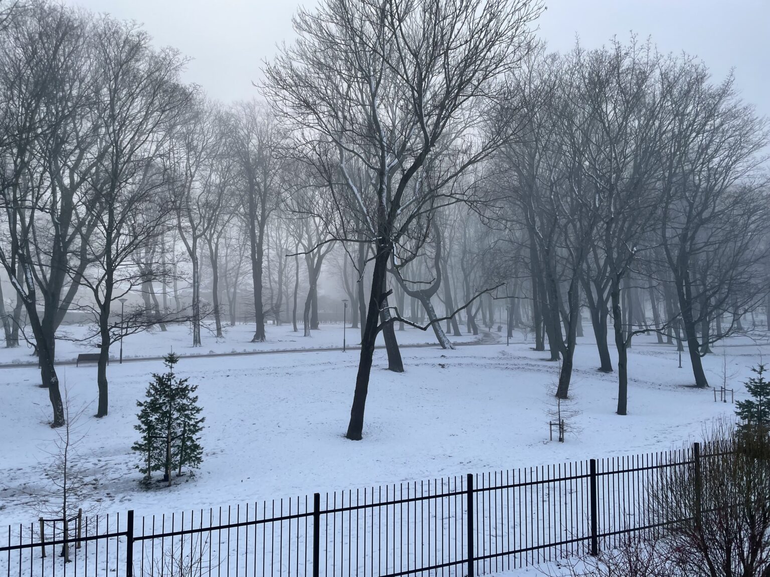 EiK soovitab: Sõidumuusika – aga mitte ainult – 9/2023