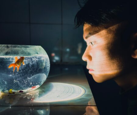 Nutitelefonide foto- ja videokonkursilt võib võita 10 000 USD Yang Jianxiong - Huawei Mate 40 Pro