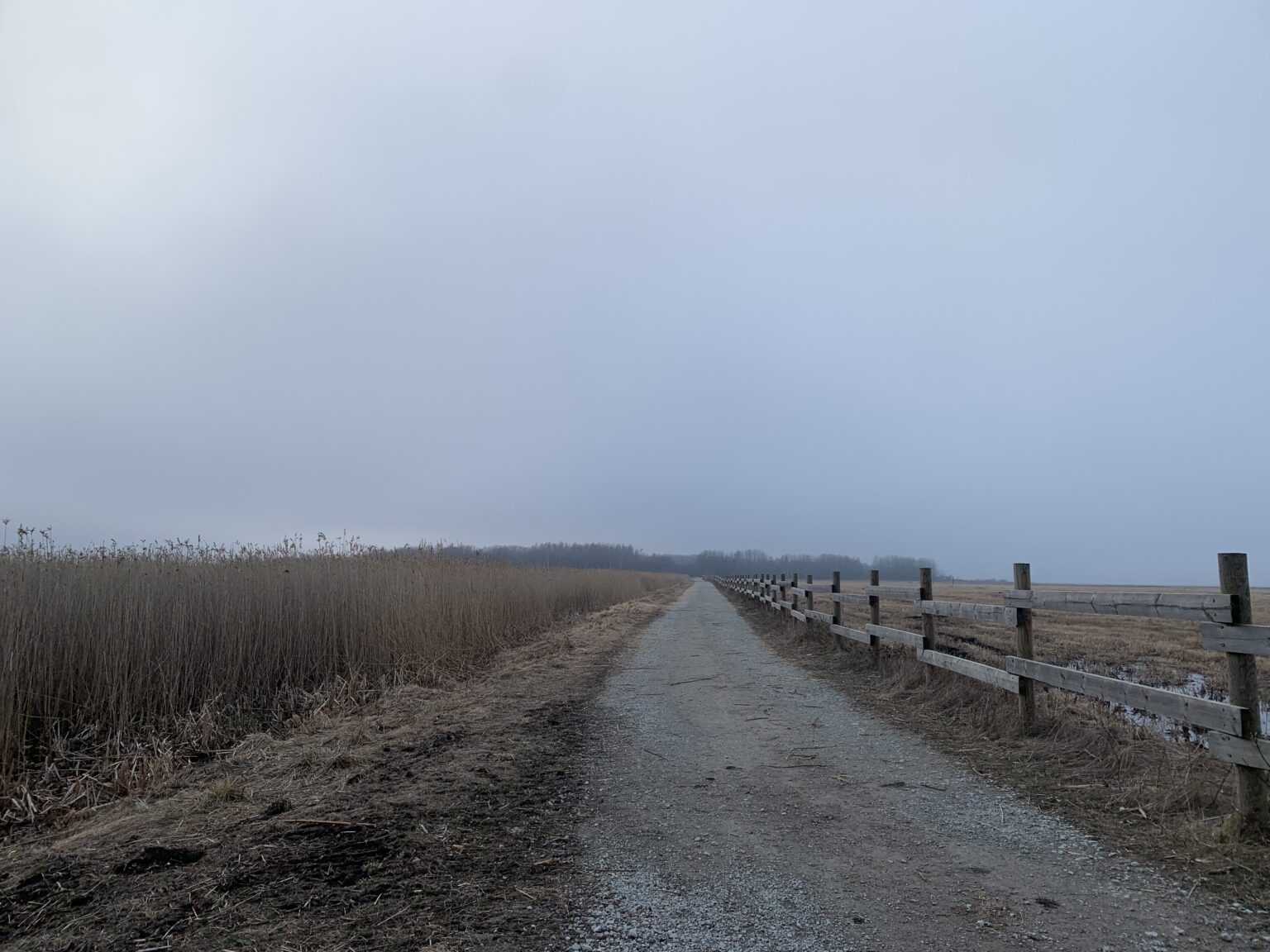 EiK soovitab: Sõidumuusika – aga mitte ainult – 15/2023