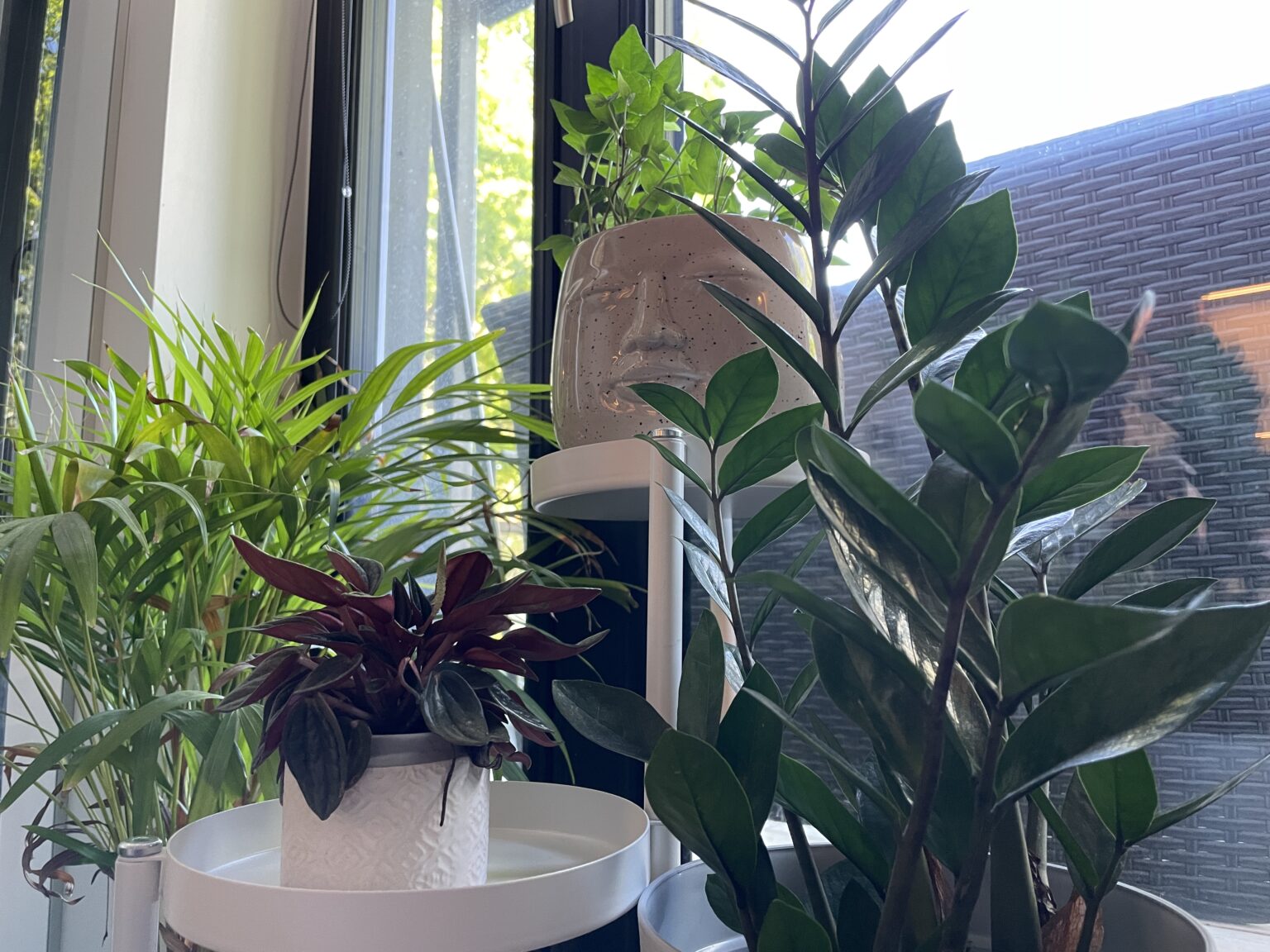 EiK soovitab: Sõidumuusika – aga mitte ainult – 22/2023