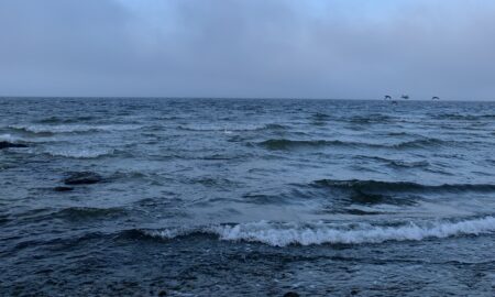 EiK soovitab: Sõidumuusika – aga mitte ainult – 20/2023