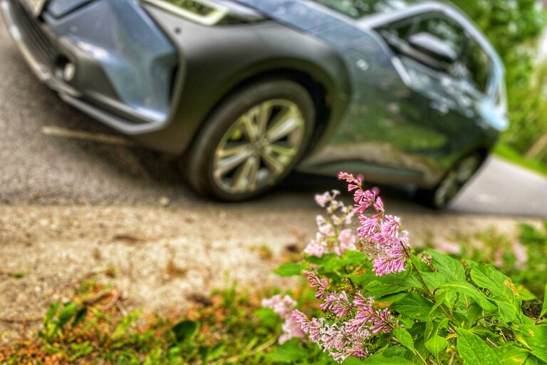 subaru solterra abieluvõrdsusest