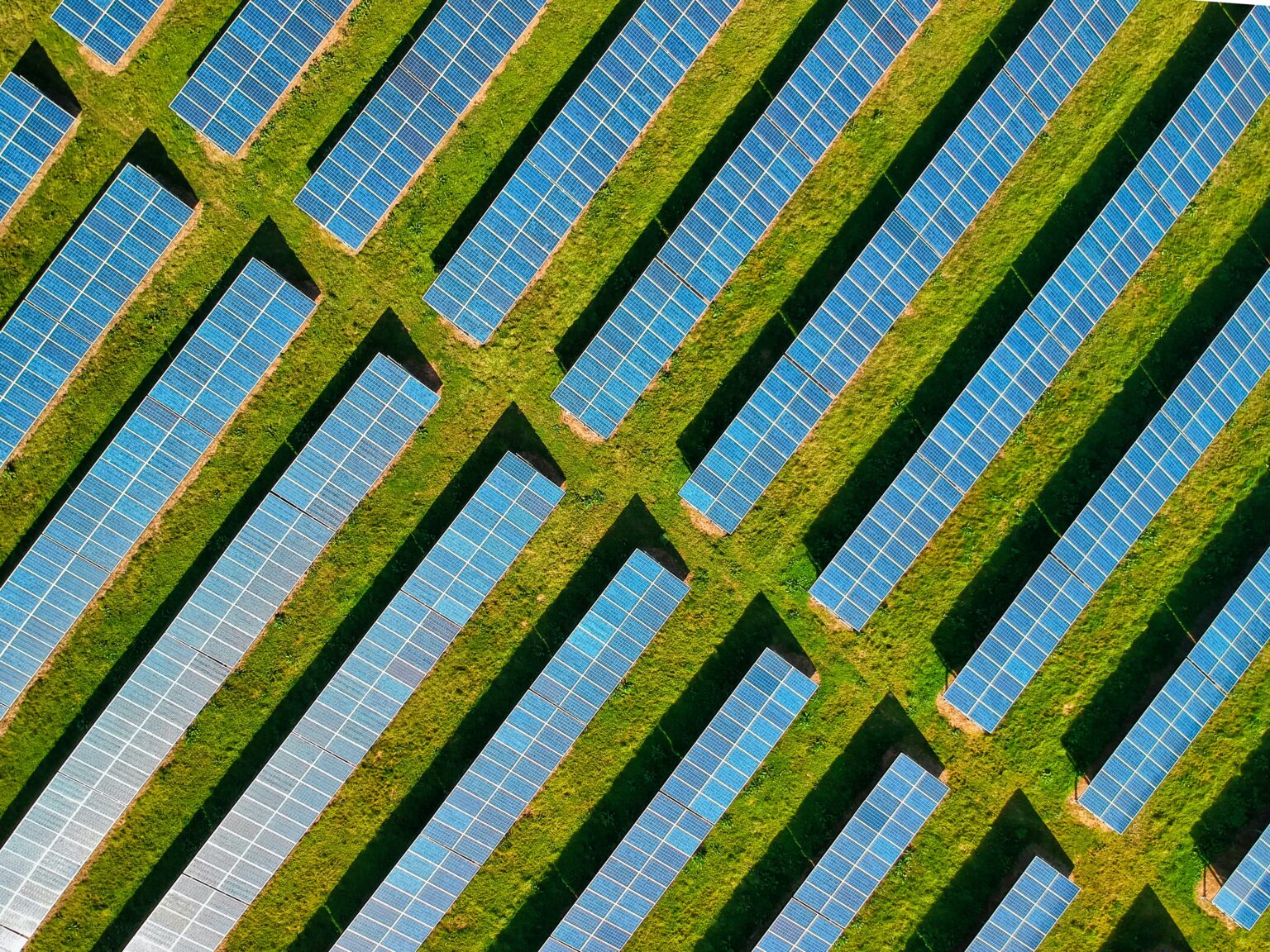 E-autod särtsuta ei jää: 9. juunil liikus võrku üle 5GWh (päikese)energiat särtsuta ei jää