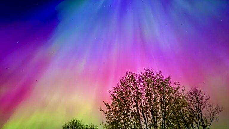 aarmuslik magnettorm