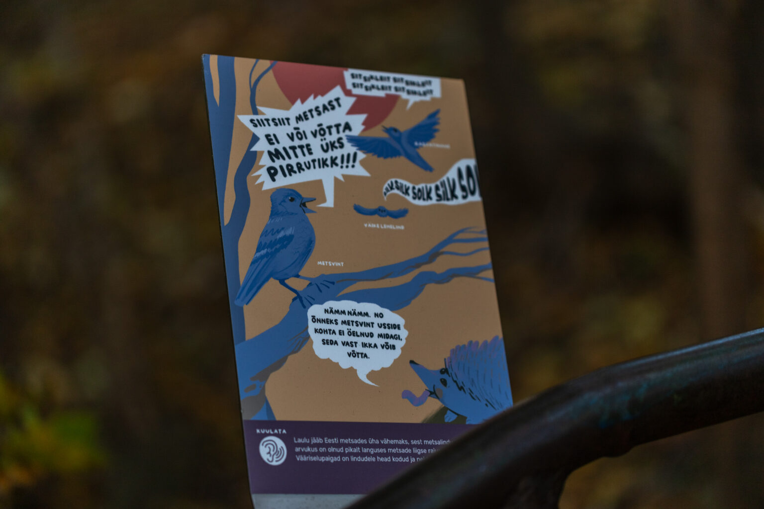 Maarjamäel avati illustreeritud mänguline looduse õpperada maarjamäel