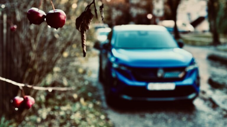 Maailma naiste aasta auto auhinnalaud pikeneb kahe kategooria võrra sandy myhre