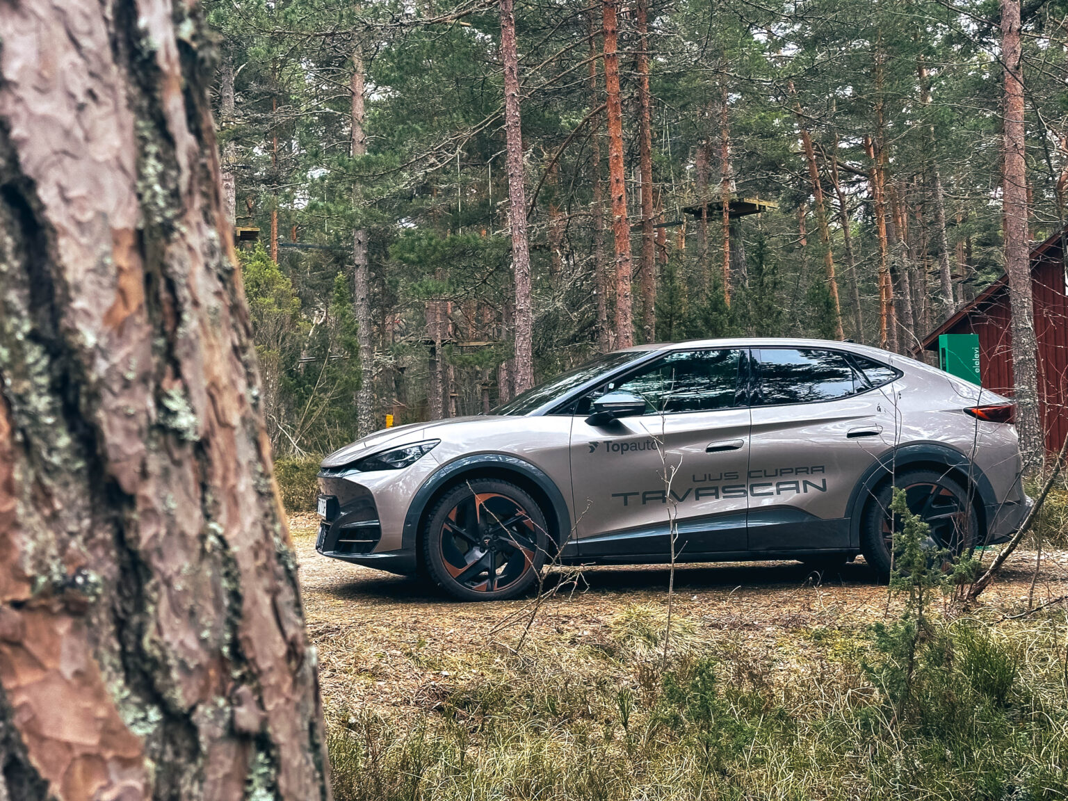 Cupra Tavascan, Mart Lumiste