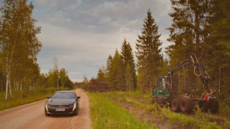 Soome metsandusekspert: Teeäärsed kaasikud vähendaksid ulukiõnnetusi Teeäärsed kaasikud vähendaksid ulukiõnnetusi