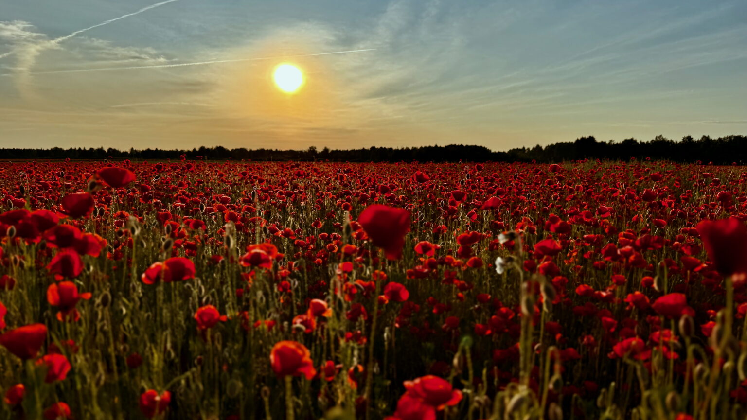 Lugeja küsib: Kas Eesti ilma mõjutatakse kliimarelvaga? Kas Eesti ilma mõjutatakse kliimarelvaga