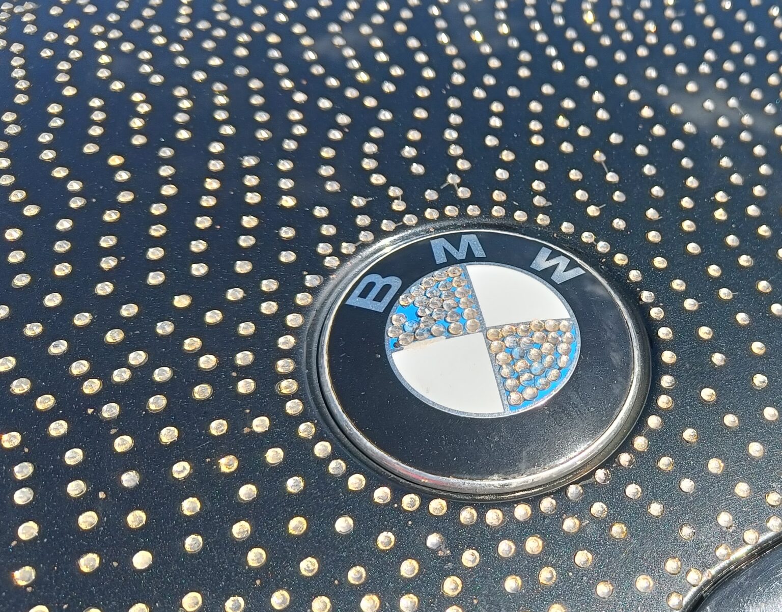 Memel Motor Fest Panevėžyses 2025, Gerli Ramler